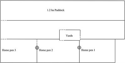 Dairy Cattle Response to a Virtual Fence When Pasture on Offer Is Restricted to the Post-grazing Residual